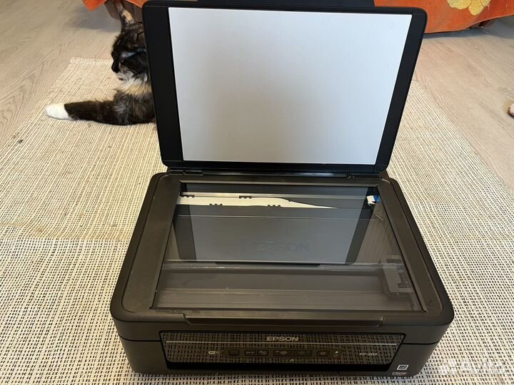Мфу epson XP-207
