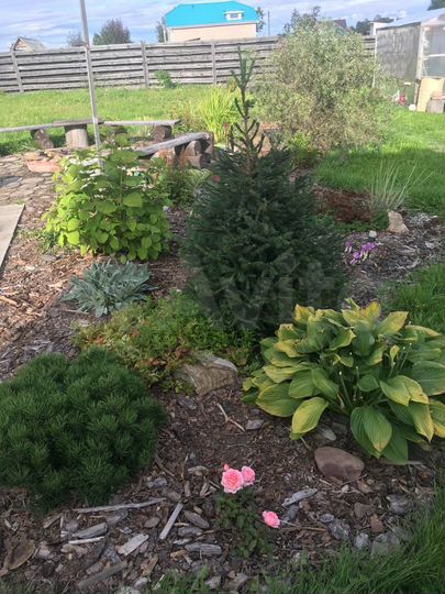 Дом 46,8 м² на участке 10 сот.