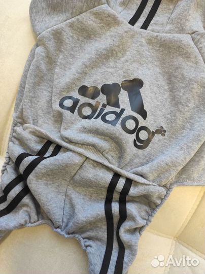 Костюм для собаки