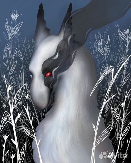 Иллюстрации