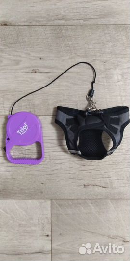 Вещи для маленьких собак пакетом, шлейка и поводок