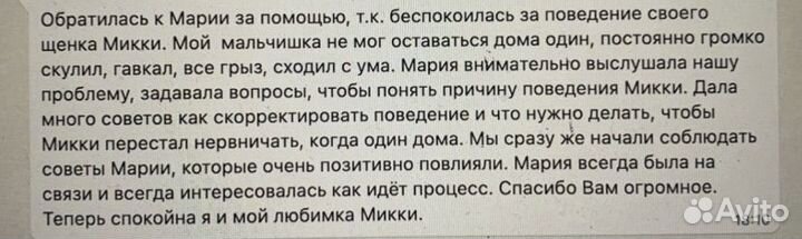 Кинолог, зоопсихолог, дрессировка собак