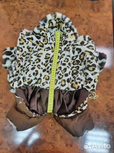 Одежда для собак