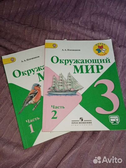 Окружающий мир 3 класс учебник плешаков
