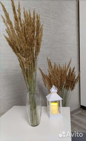 Декоративная трава с вазой