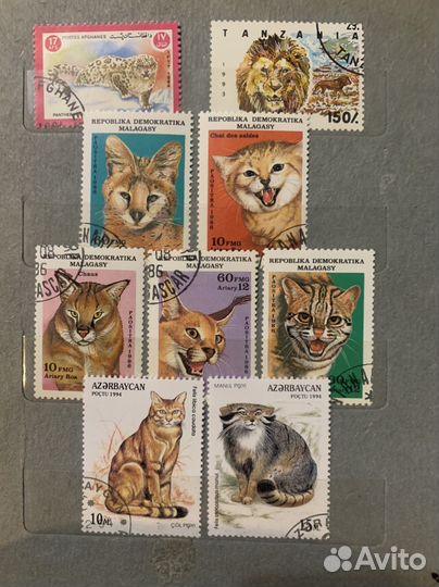 Альбом марок Кошки