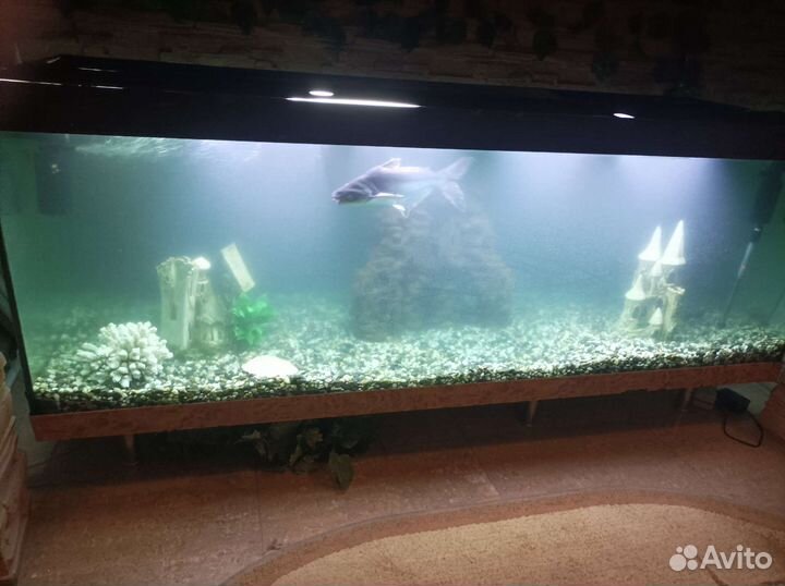 Чистка аквариума