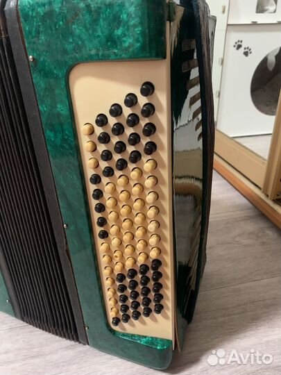 Баян 1960 год