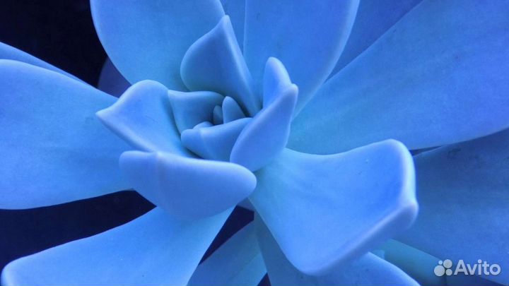 Фотоаппарат Nikon coolpix L330