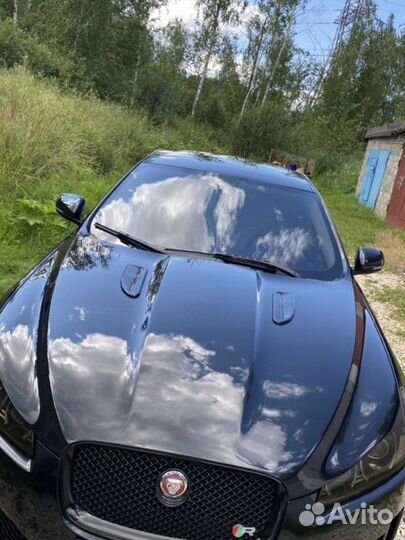 Полировка автомобиля