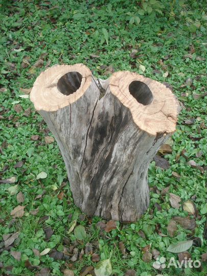 Пень -бар на дачу