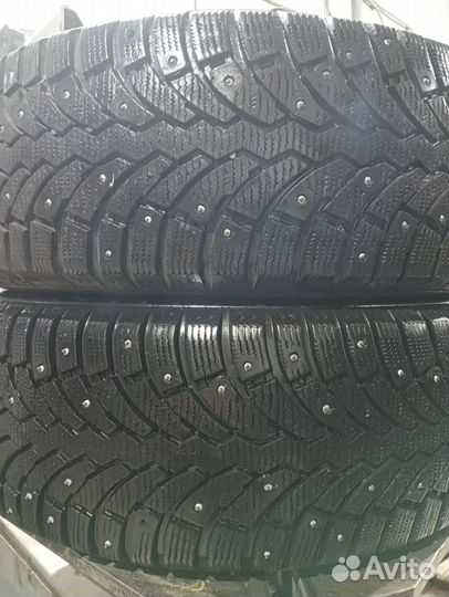 Formula Ice 205/55 R16 91T
