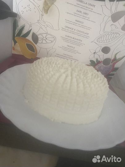 Молоко, сметана, творог, масло, сыры