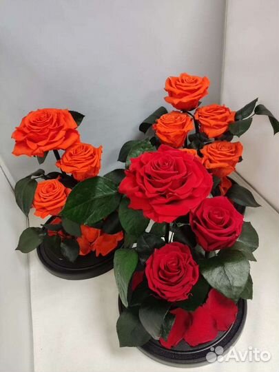 Роза в колбе оптом и в розницу