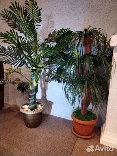 Большие искусственные растения