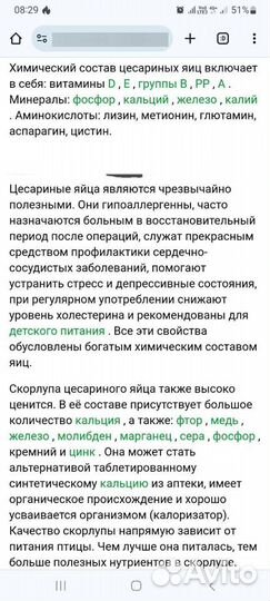 Инкубационное яйцо цесарей