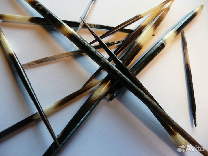 Иглы дикобраза