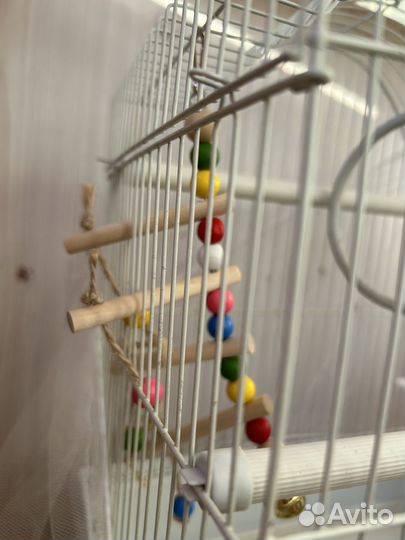 Клетка для птиц в подарок много принадлежностей