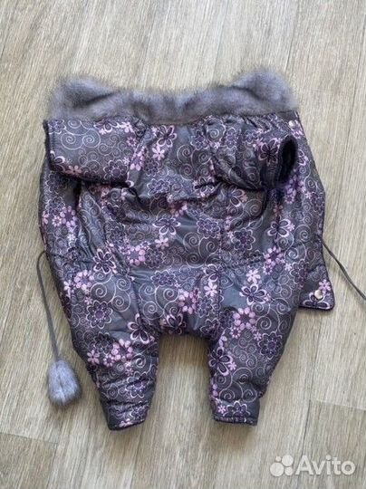 Одежда для маленьких собак