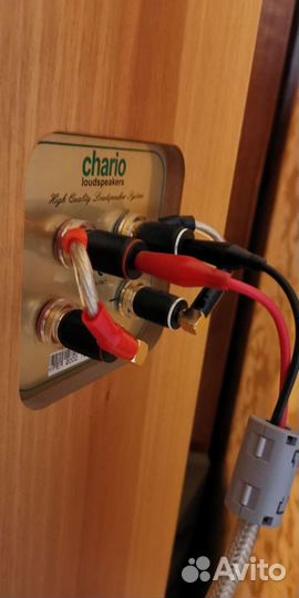 Перемычки для акустических терминалов Magnat