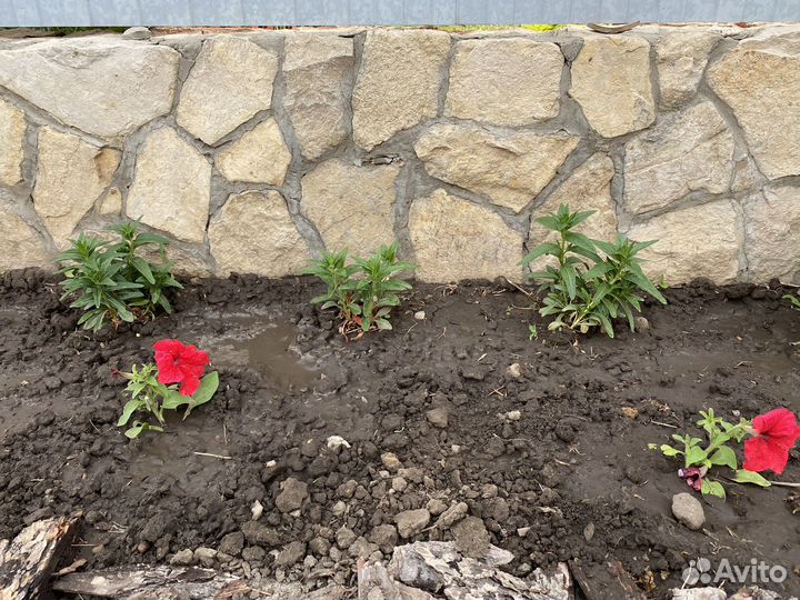 Бутовый камень