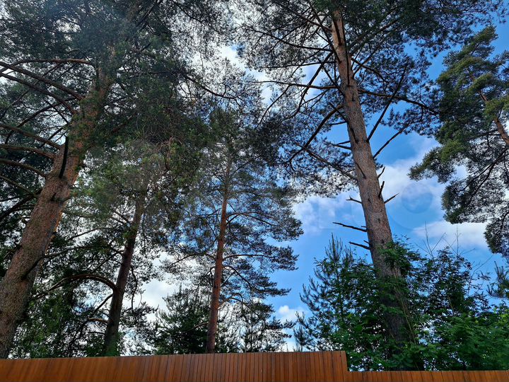 Участок 5,3 сот. (СНТ, ДНП)