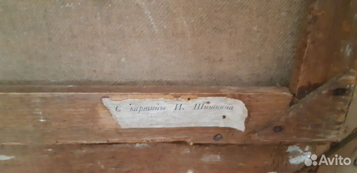 Картина. Утро в сосновом лесу