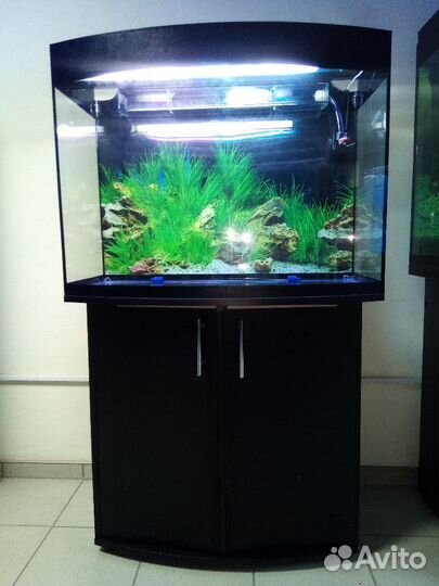 Аквариум 180л, полукруглый, свет, биофильтр, подс