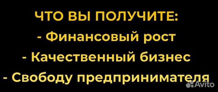 1 млн. в мес. Бизнес на финансах