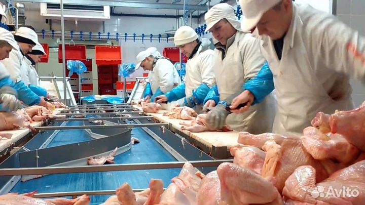 Грузчики на птицефабрику, вахтовый метод Пермь