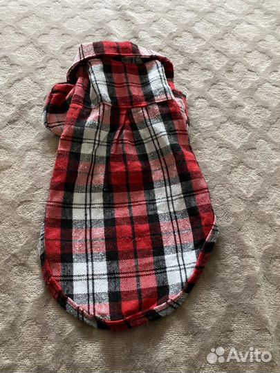 Одежда для собак мелких пород