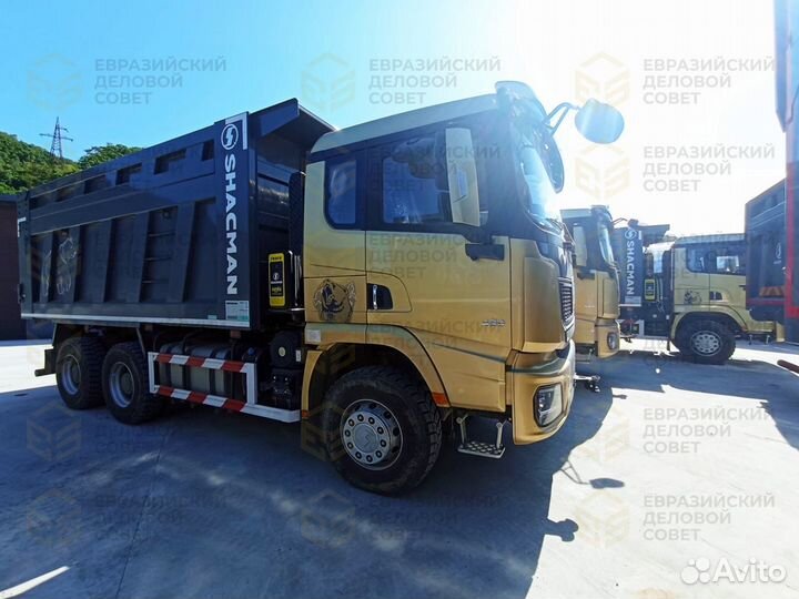 Shacman (Shaanxi) SX32586V384, 2023