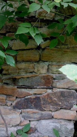 Участок 20 сот. (СНТ, ДНП)