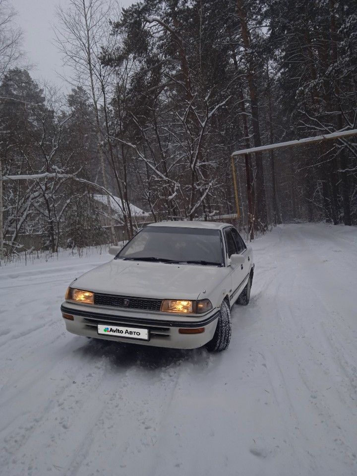 Toyota Corolla: фото владельца