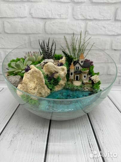 Флорариум с суккулентами
