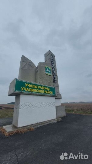 Автобусные туры 