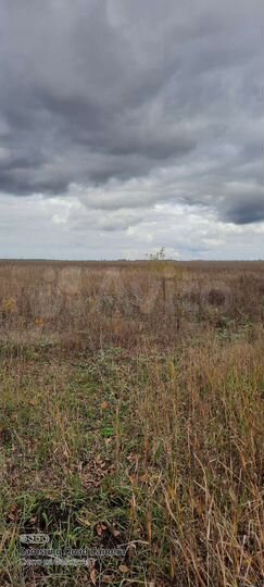 Участок 5,8 га (СНТ, ДНП)