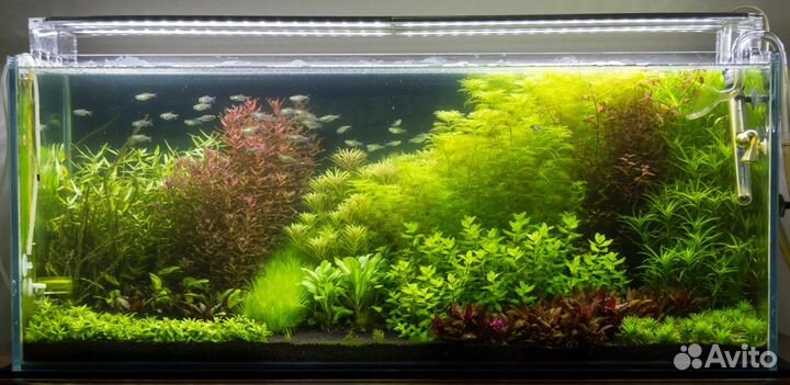 Аквариумные удобрения