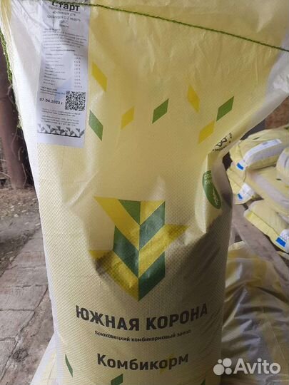 Цыплята бройлеры суточные и подрощенные