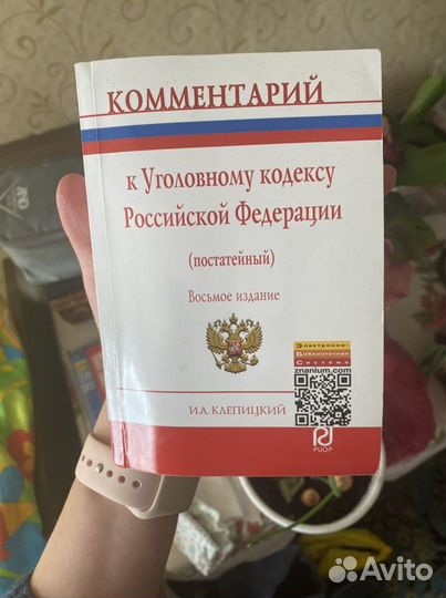 Комментарий к ук РФ Клепицкий