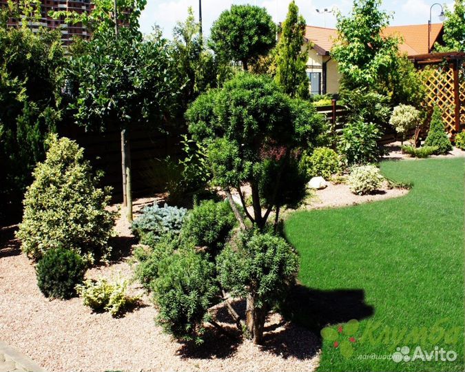 Озеленение благоустройство газоны