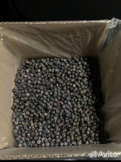 Коробка с можжевельником