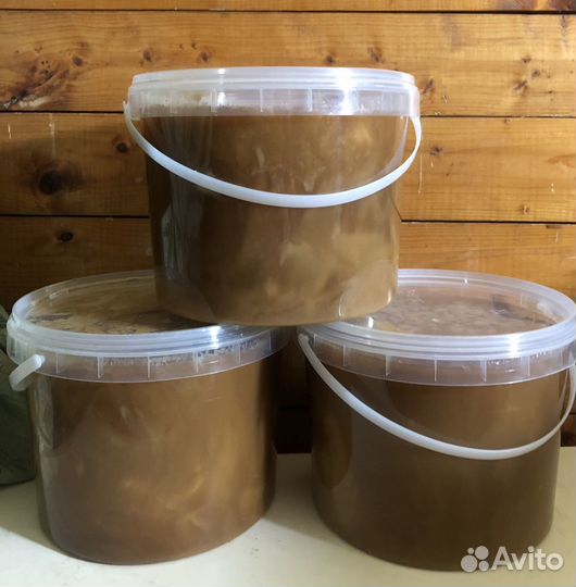 Мёд Алтайский Гречишный