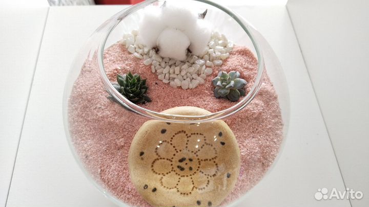 Флорариум. суккуленты