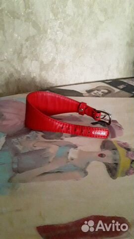 Ошейник для щенка