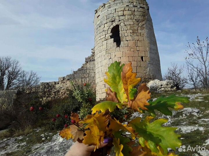 Прокат Квадроциклов. Аренда Квадроциклов