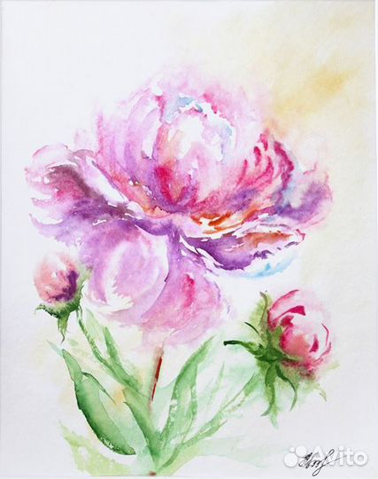 Картина акварелью Пион