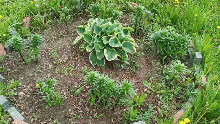 Дом 120 м² на участке 30 сот.