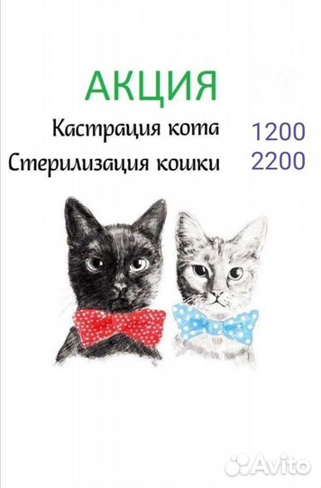 Ветеринар, узи крс