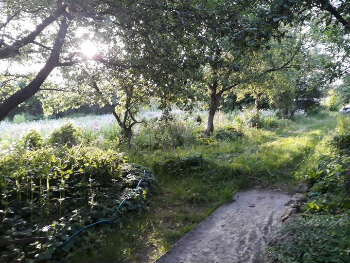 Дом 50,6 м² на участке 10 сот.